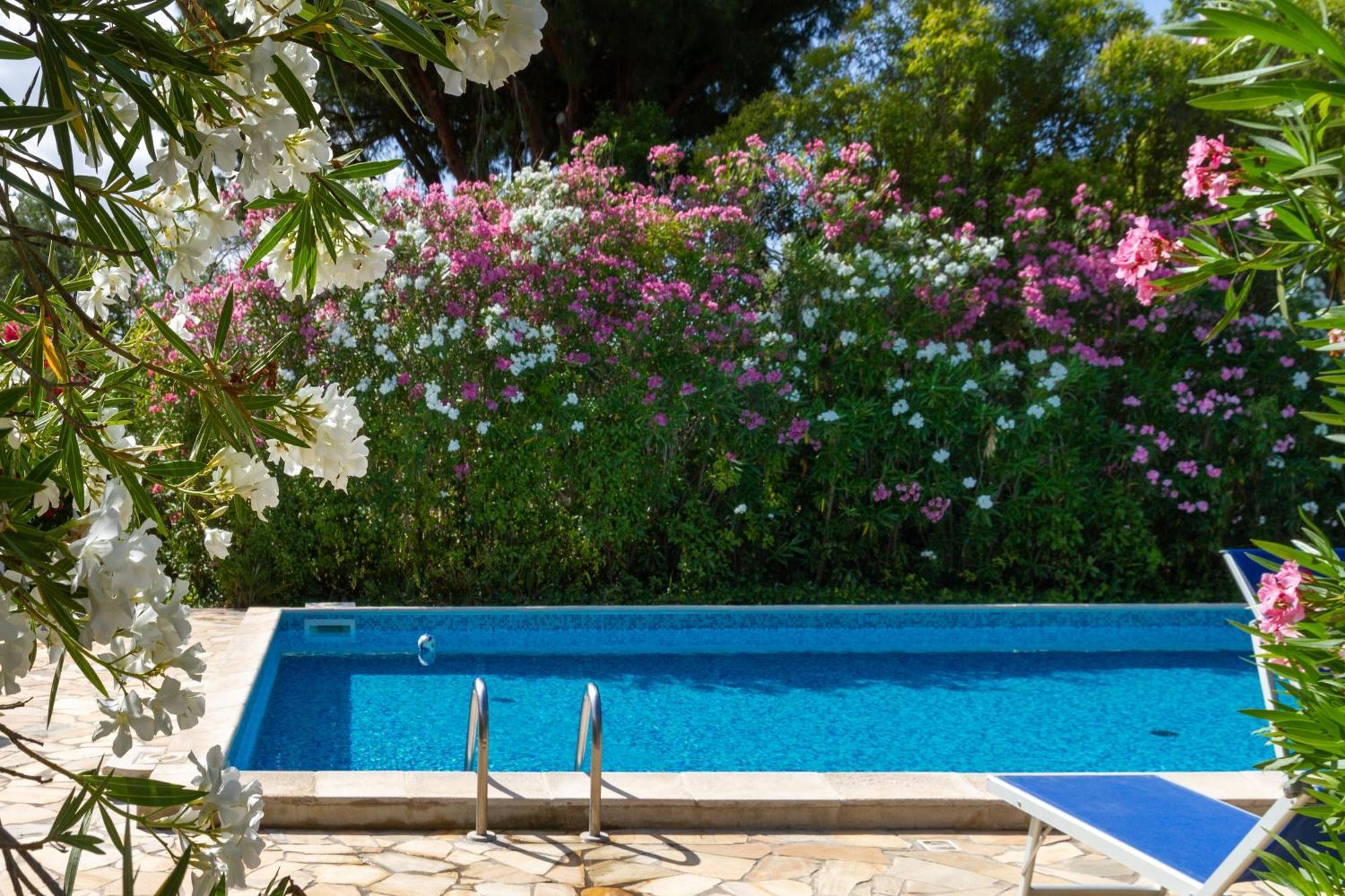 Trilo Dalia Villa Marina di Grosseto Ngoại thất bức ảnh